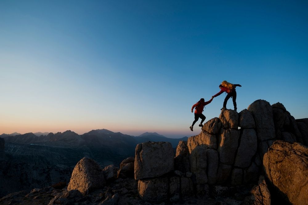 Why Have Partners?
